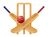 Cricket